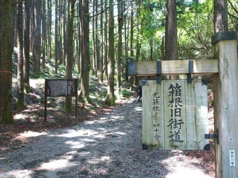 Ek House Hakone Shushinso 箱根修身荘 Villa Eksteriør bilde