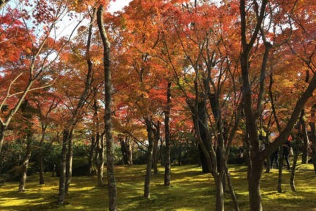 Ek House Hakone Shushinso 箱根修身荘 Villa Eksteriør bilde